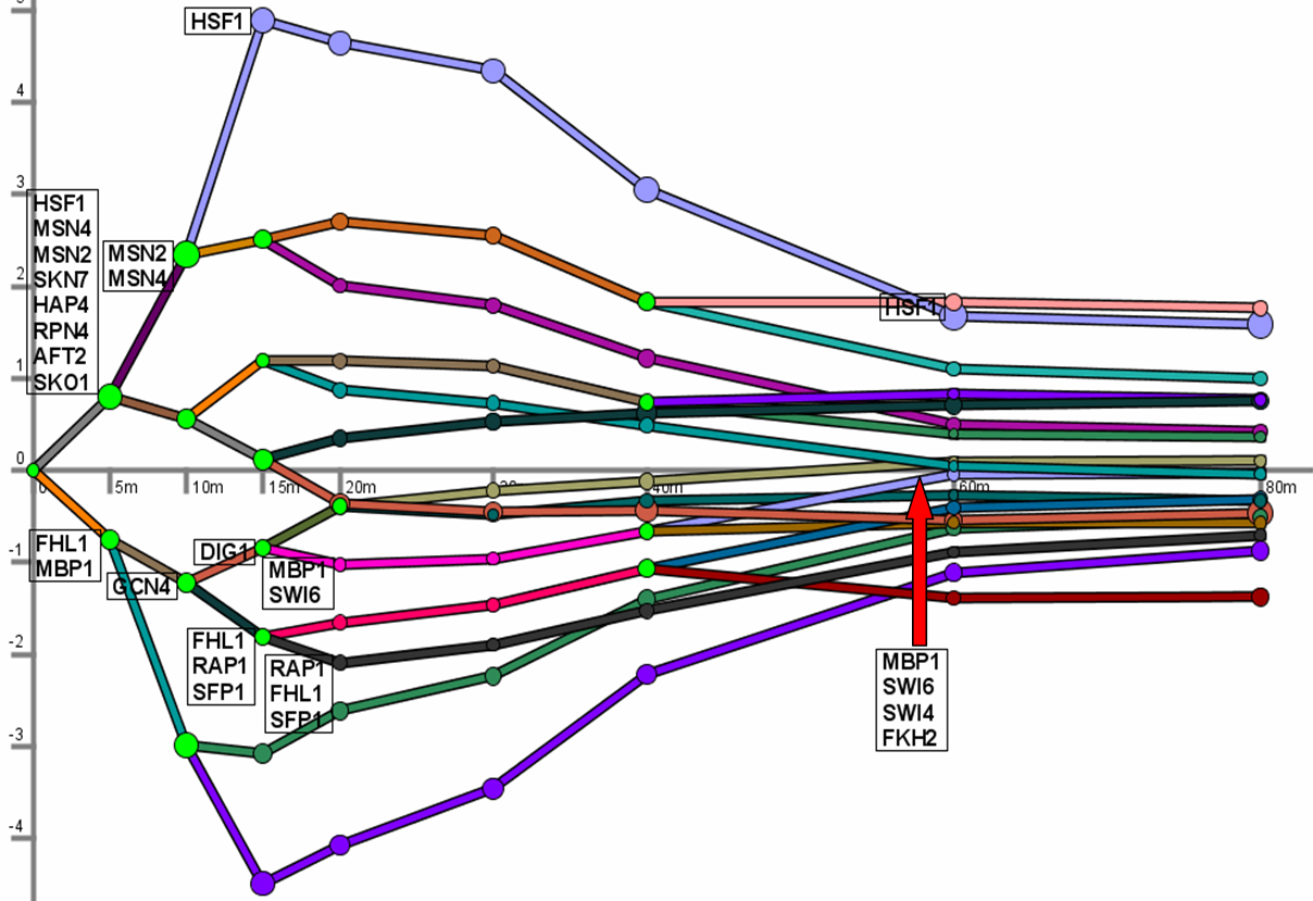 DREM map of heat
shock response in yeast